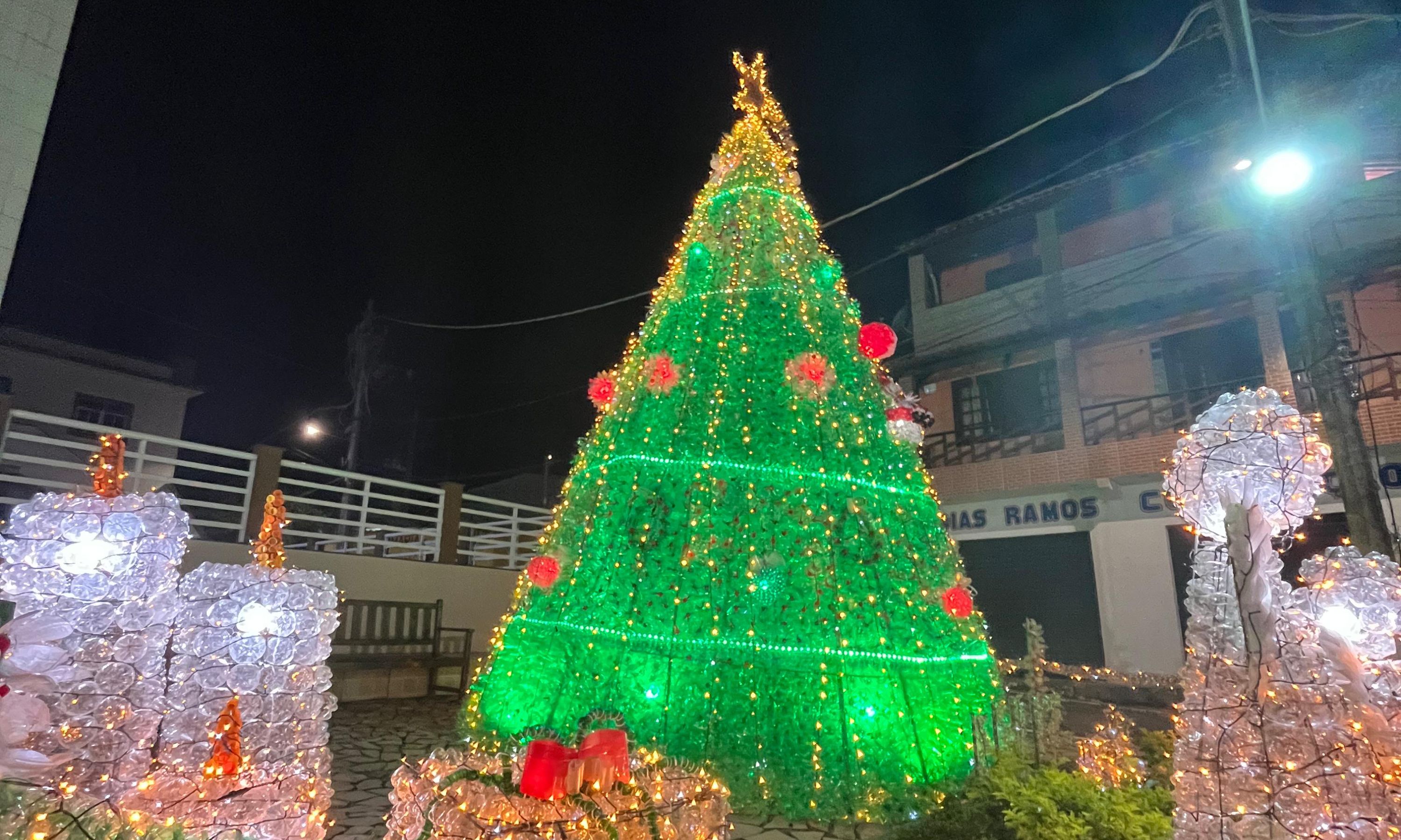 Árvore do Provetá é a vencedora do Natal Luz e Arte 2024